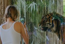 Zoo invites artists and visitors to share their connection with nature