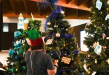 Trees of Remembrance return to Nelson Airport with record support