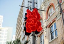 Auckland launches city-wide Lunar New Year programme