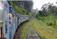 Kiwis still booking big as travel trends evolve