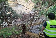 DOC proposes removing weather-damaged Cathedral Cove tracks