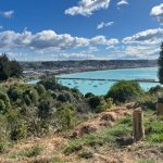 Cape Wanbrow restoration project, Dog Owners Group. Photo supplied.