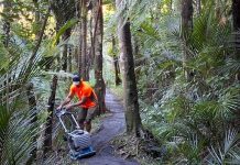 Water-race Track resurfaced to protect kauri
